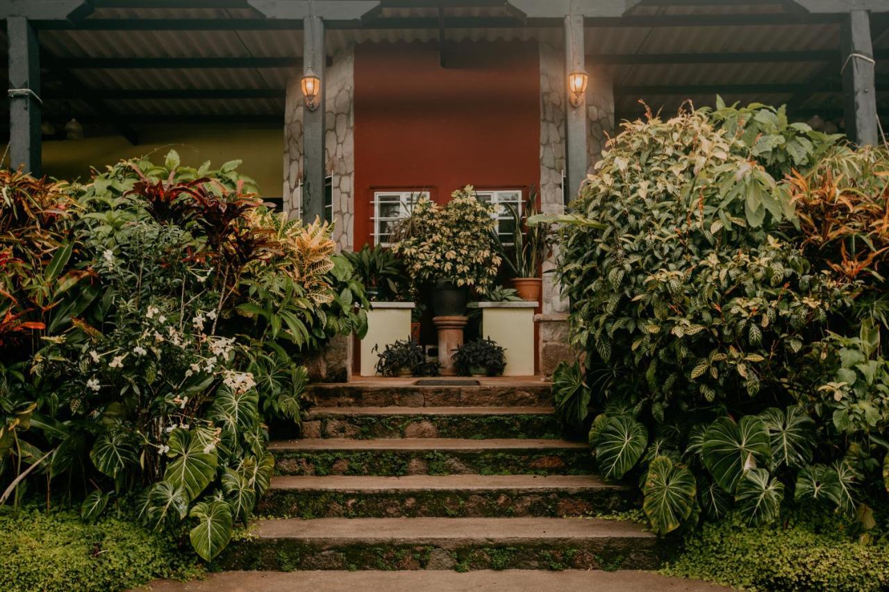 The Golden Frog Inn El Valle de Anton Exterior photo