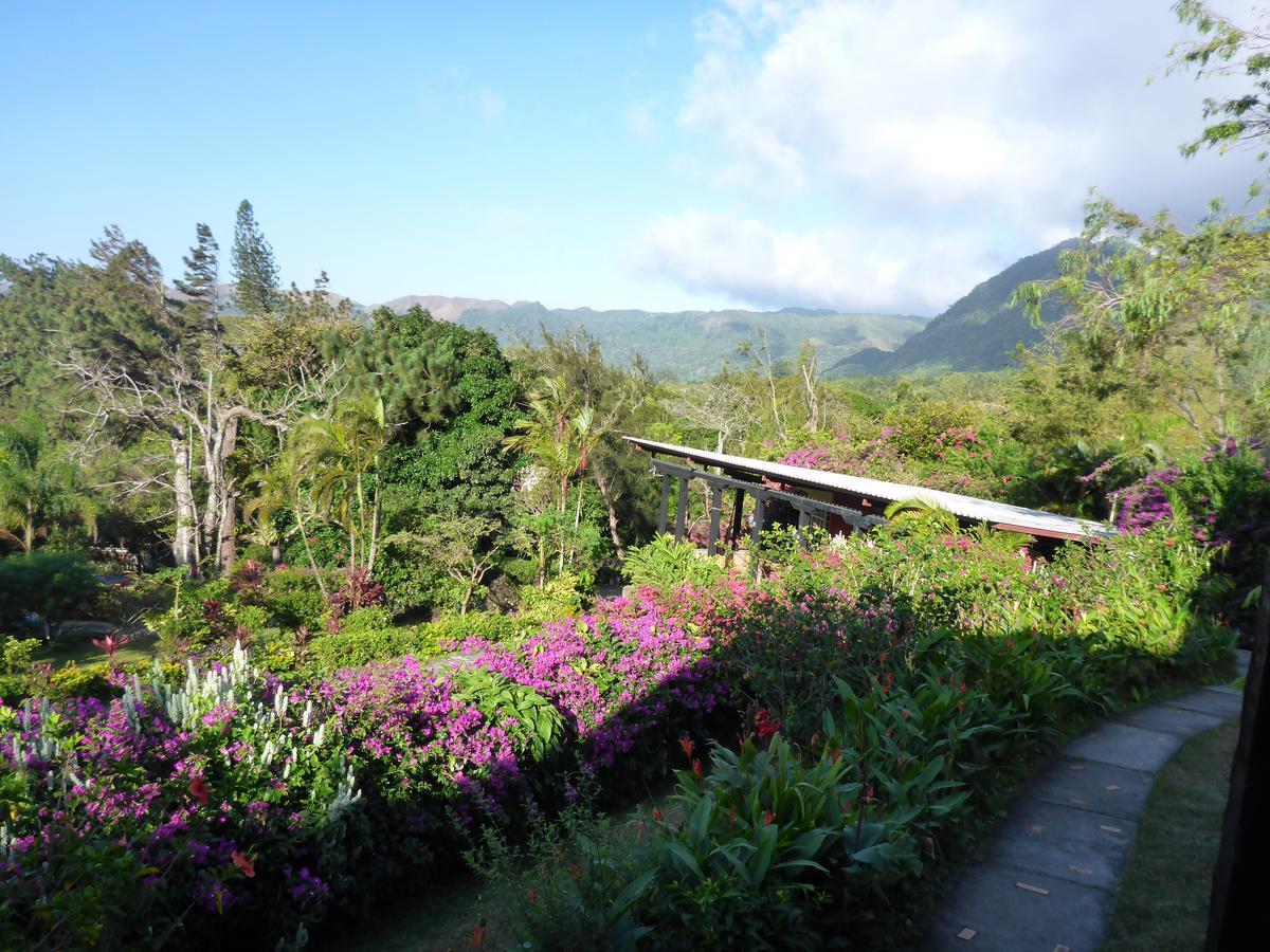 The Golden Frog Inn El Valle de Anton Exterior photo