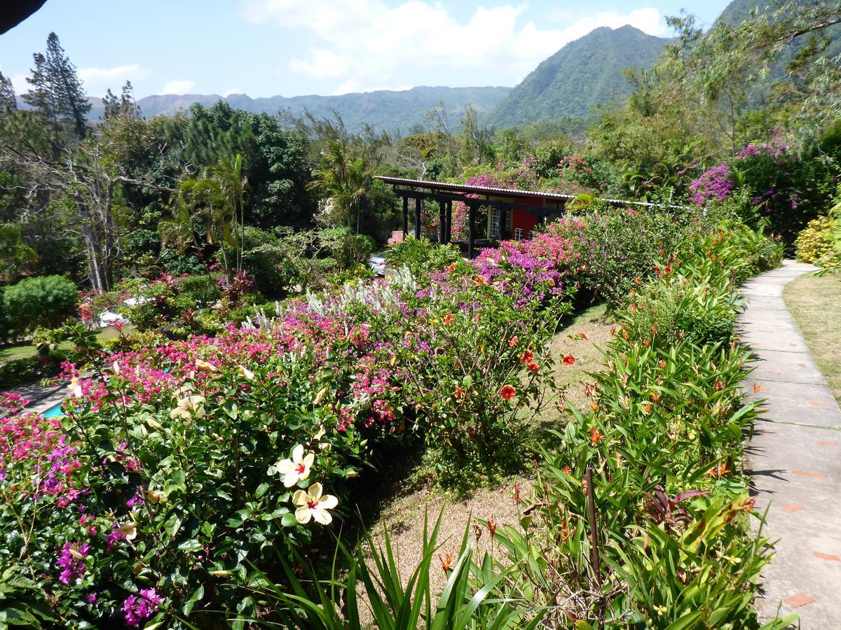 The Golden Frog Inn El Valle de Anton Exterior photo