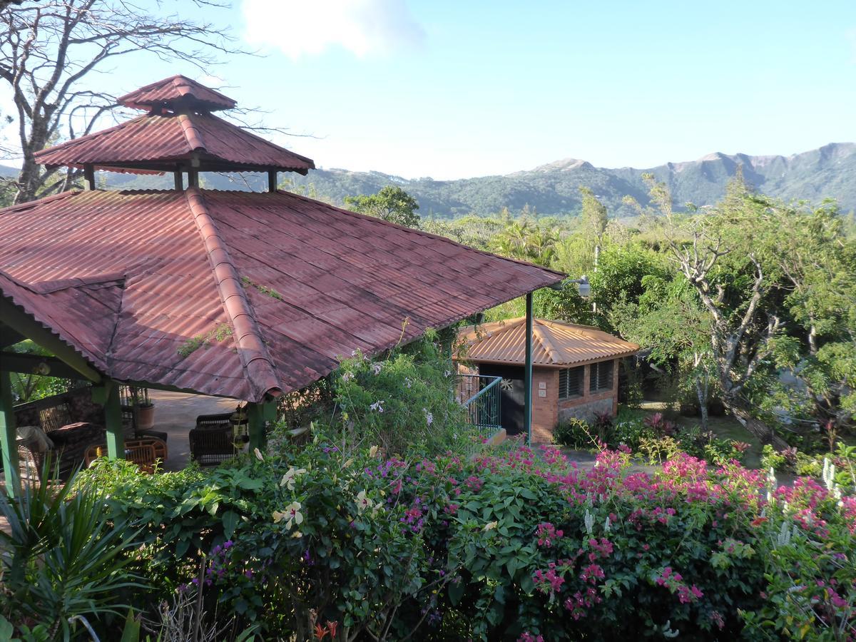 The Golden Frog Inn El Valle de Anton Exterior photo