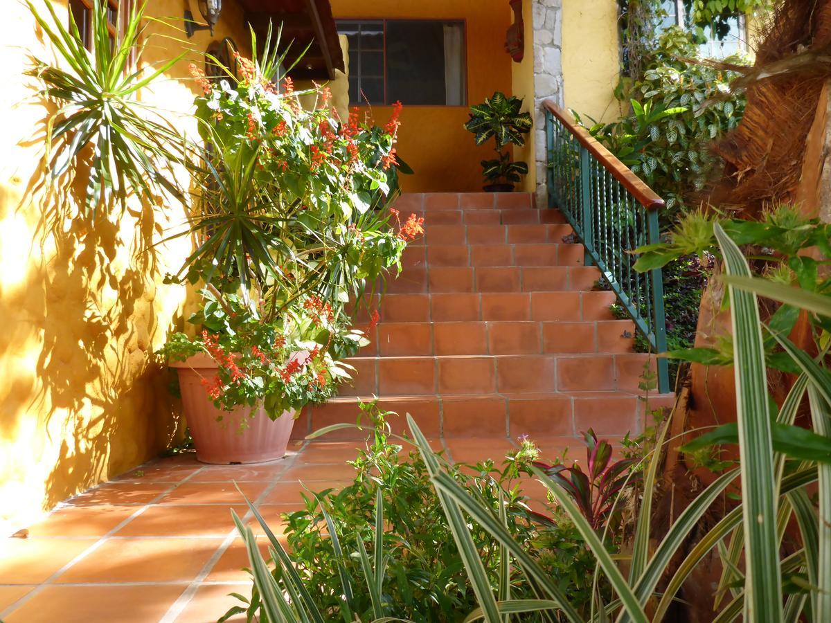 The Golden Frog Inn El Valle de Anton Exterior photo