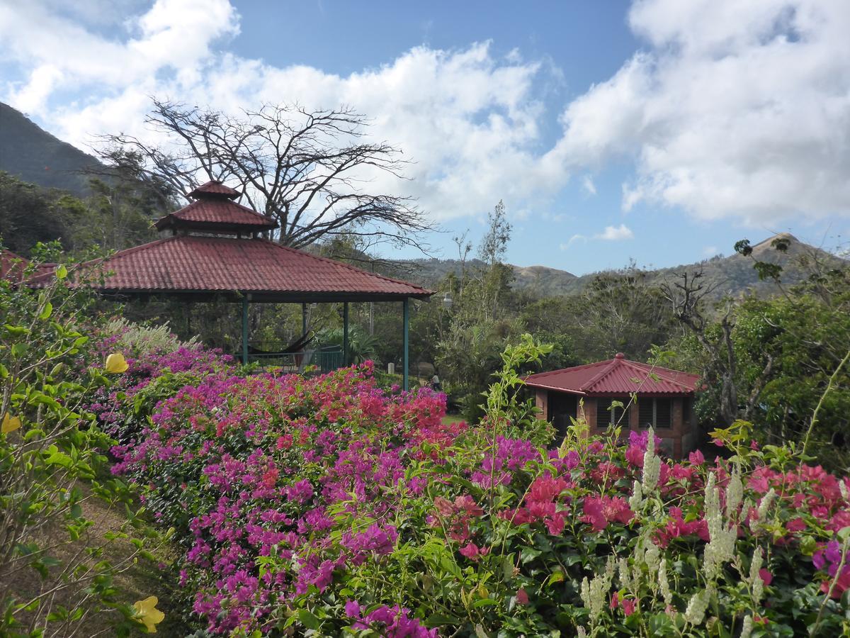 The Golden Frog Inn El Valle de Anton Exterior photo