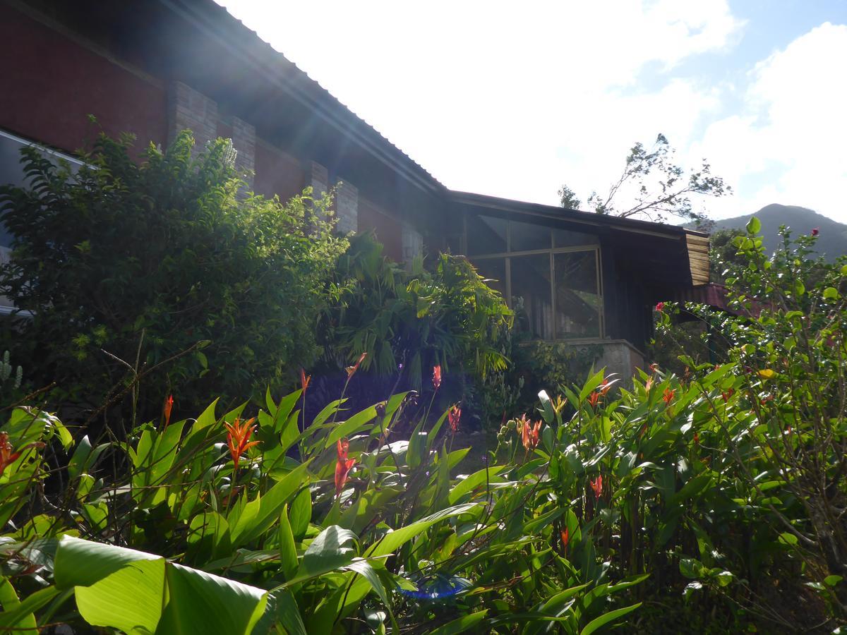 The Golden Frog Inn El Valle de Anton Exterior photo